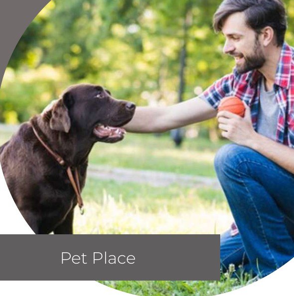 Pet place do ConnectSaira